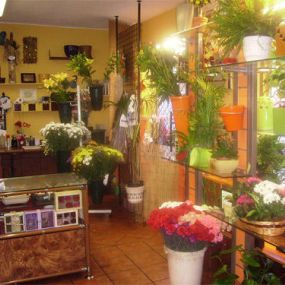 floristas-garcia-morato-interior-02.jpg