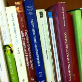 libros-consulta-02.jpg