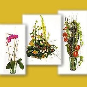 floristeriamariateresa-arreglosflorales.jpg