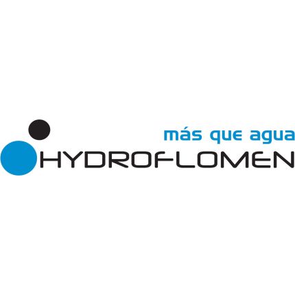Logo da Hydroflomen