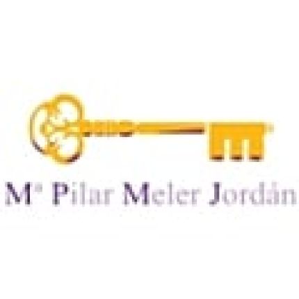 Logo de Psicóloga Mª Pilar Meler