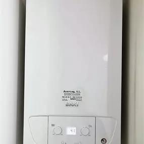13881404-1-BtcENDx2NH1559307800052.jpeg