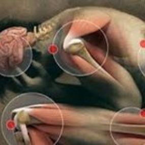 CLINICABIODENTALBLANES1.jpg