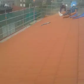 204600571-2-F9pedaXSxo1532501537766.jpeg