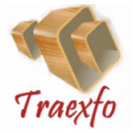 Logo van Traexfo S.l