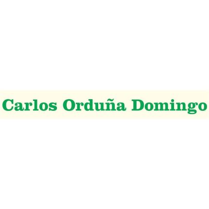 Logótipo de Carlos Orduña Domingo- Clinica Dental