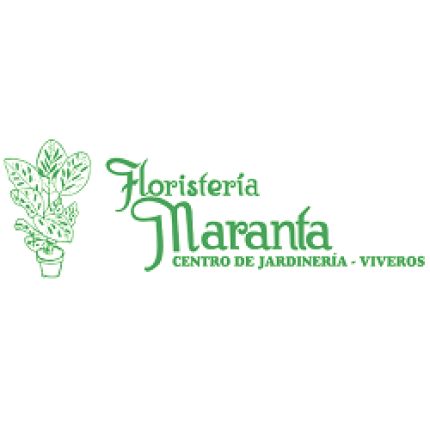 Logo da Floristería Maranta Viveros