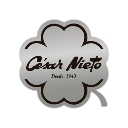 Logo van César Nieto Group S.L.