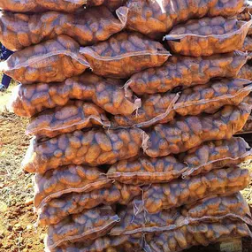 ruben-empacadas-patatas-03.jpg