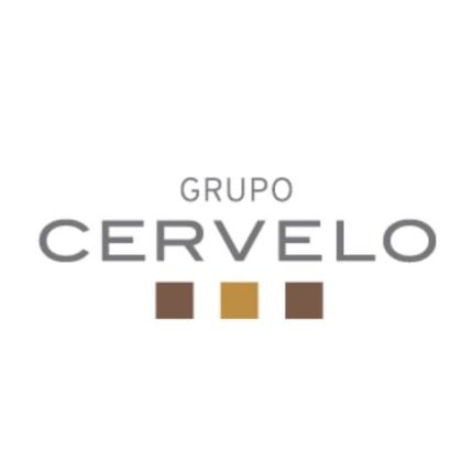 Logo from Grupo Cervelo - LUMEPAL