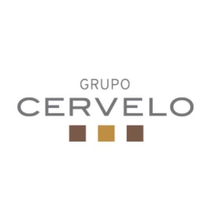 Logotipo de Grupo Cervelo - LUMEPAL