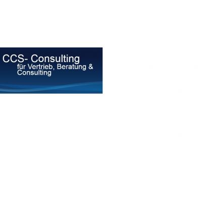 Logo van CCS-Consulting Inh. Christopher Schaknat