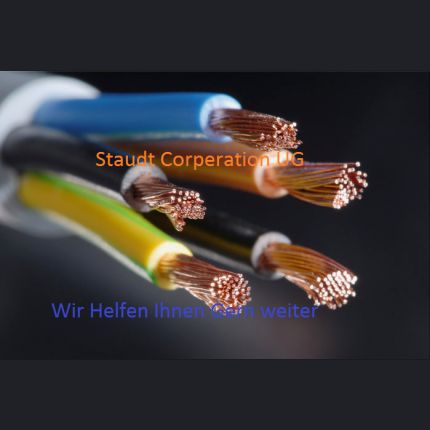 Logo von Staudt Corperation GmbH