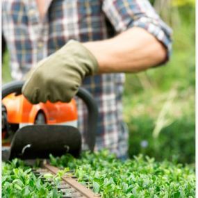 limpiezas-crisol-jardinero-con-cortadora-de-plantas.jpg