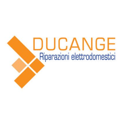 Logotyp från Ducange Elettrodomestici