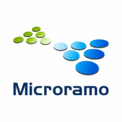 Logo da Microramo