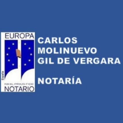 Logotipo de Carlos Molinuevo Gil De Vergara