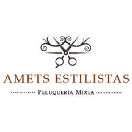 Logo von Peluquería Amets Estilistas