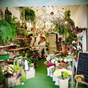 nature-world-floristeria-interior-tienda-01.jpg