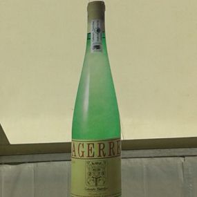 txakoli-agerre-cosecha-01.jpg