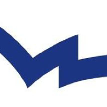 Logo fra Sotesa S.L.