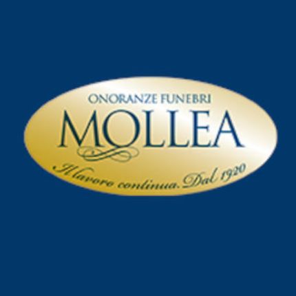 Λογότυπο από Onoranze Funebri Mollea