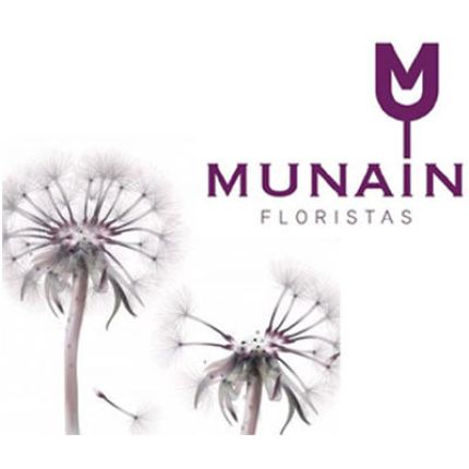 Logótipo de Munain Floristas