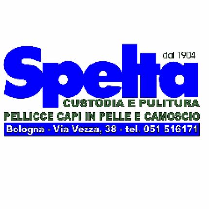 Logo de Spelta Pellicce