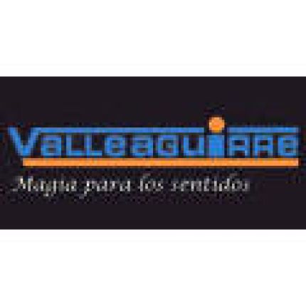 Logotipo de Valle Aguirre