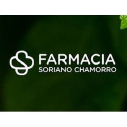 Logo from Farmacia Alfonso Soriano