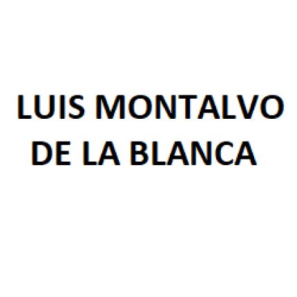 Logo de Luis Montalvo De La Blanca