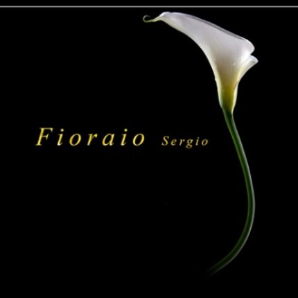 Logo von Fioraio Sergio