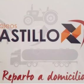 logo-castilo.jpg