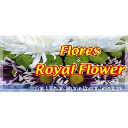 Logo de Flores e Royal Flower