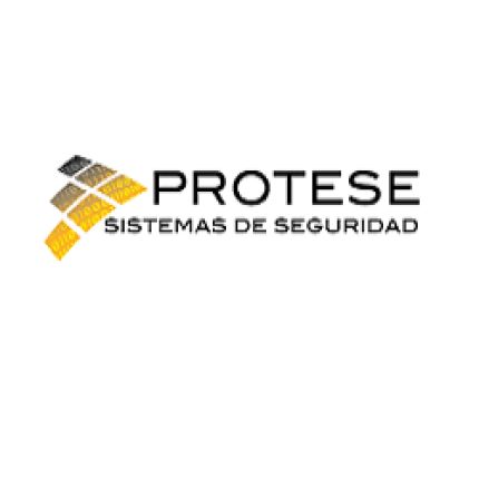 Logo van Protese S.L.