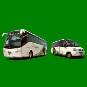 autocares-medina-buses-02.jpg
