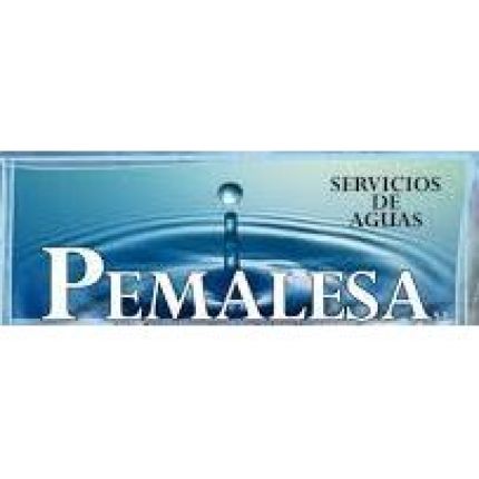Logo da Pemalesa S.L.