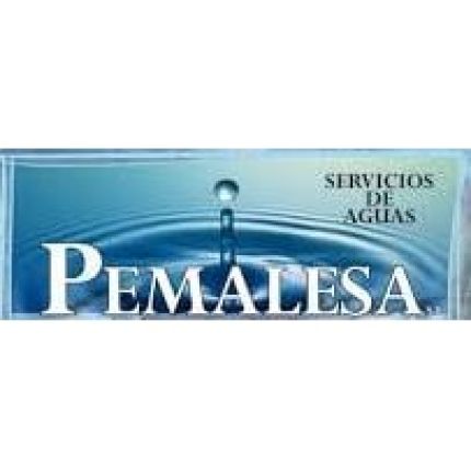 Logo from Pemalesa S.L.