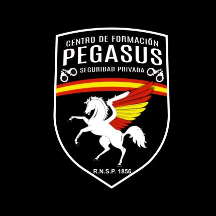 Λογότυπο από Academia Pegasus Formación