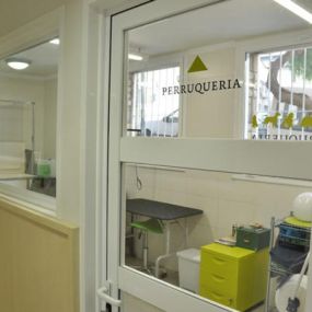 peluqueria-veterinaria-03.jpg