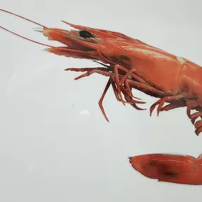 20181030_191401.jpg