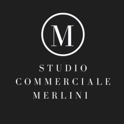 Logotyp från Studio Commerciale Merlini di Annalisa Merlini