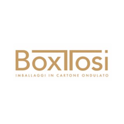 Logo od Box Tosi S.p.a.