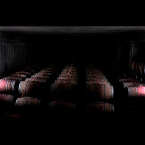 bodegas-raul-calvo-bodega-02.jpg