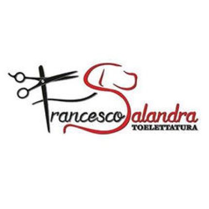 Logotyp från Toelettatura Salandra Francesco