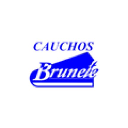 Logótipo de Cauchos Brunete