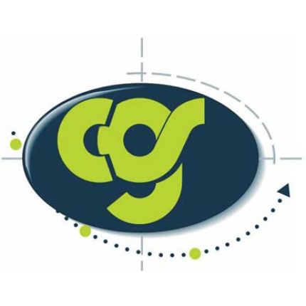Logotyp från Cgs Information Technology