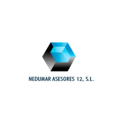 Logótipo de Nedumar Asesores