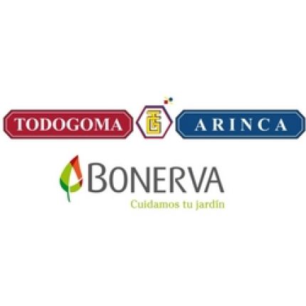 Logotipo de Todogoma