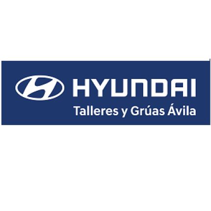 Logo fra Talleres y Grúas Ávila